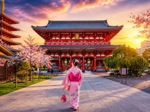 Vibrant Japan